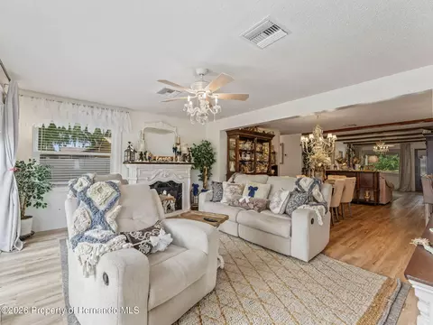 Living - 4101 E Gloria Dr, Hernando, FL 34442 photo 7 of 9