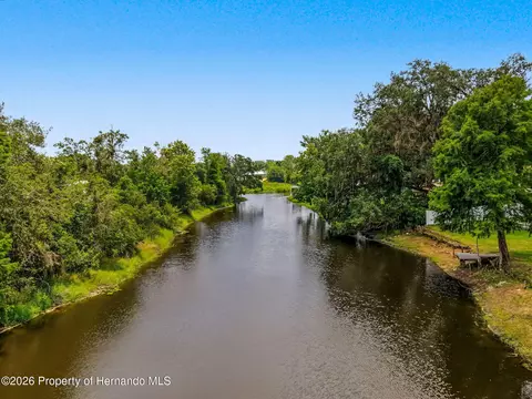 View/Area - 4101 E Gloria Dr, Hernando, FL 34442 photo 4 of 10