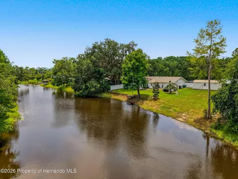 View/Area - 4101 E Gloria Dr, Hernando, FL 34442 photo 5 of 10
