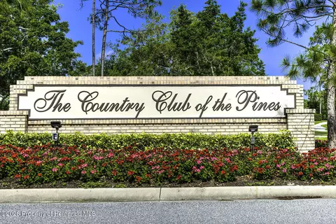 Other - 6591 Brambleleaf Dr, Spring Hill, FL 34606 photo 8 of 12