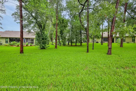 Exterior - 6591 Brambleleaf Dr, Spring Hill, FL 34606 photo 8 of 10
