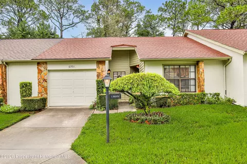 Other - 6591 Brambleleaf Dr, Spring Hill, FL 34606 photo 7 of 12