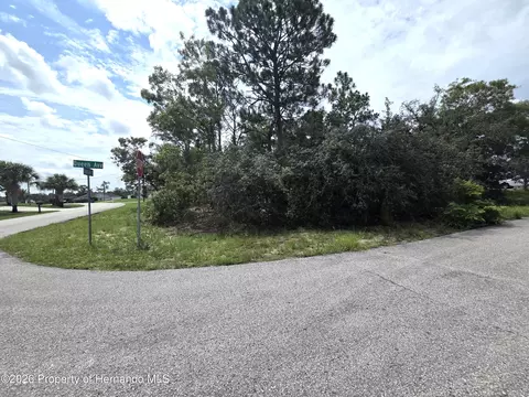 13106 Scottville St, Spring Hill, FL 34609