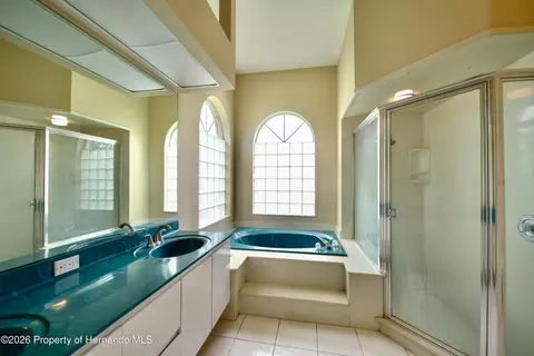 Bath - 13808 Rudi Loop, Spring Hill, FL 34609 photo 2 of 3