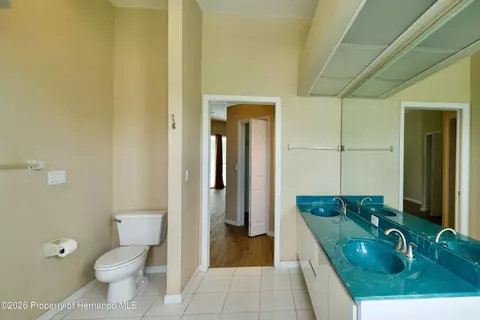 Bath - 13808 Rudi Loop, Spring Hill, FL 34609 photo 1 of 3