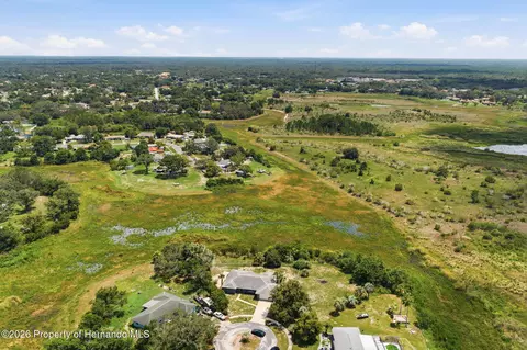 View/Area - 459 Savoy Ct, Spring Hill, FL 34606 photo 6 of 11