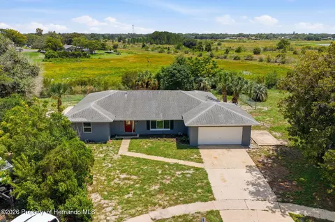 View/Area - 459 Savoy Ct, Spring Hill, FL 34606 photo 2 of 11