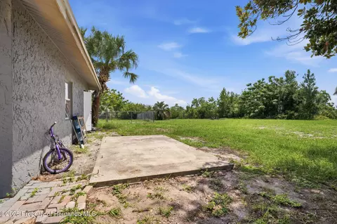 Exterior - 459 Savoy Ct, Spring Hill, FL 34606 photo 5 of 6