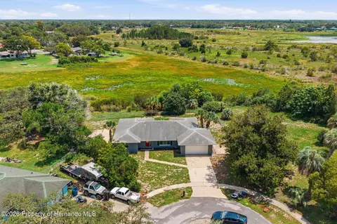 View/Area - 459 Savoy Ct, Spring Hill, FL 34606 photo 4 of 11