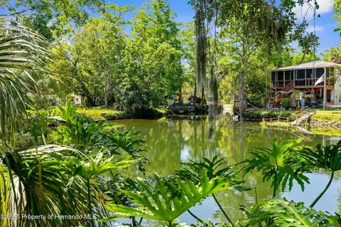View/Area - 5421 Gay St, Spring Hill, FL 34607 photo 3 of 8