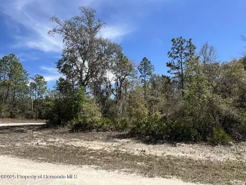 0 Northwest Ave, Webster, FL 33597 photo 10