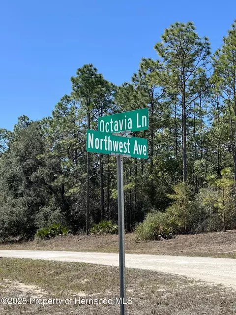 0 Northwest Ave, Webster, FL 33597 photo 9