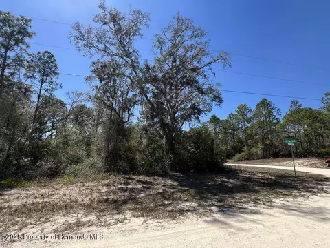 0 Northwest Ave, Webster, FL 33597 photo 8