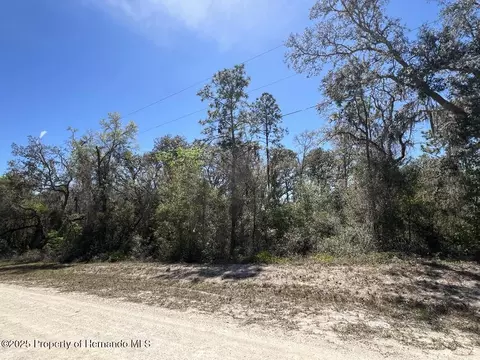 0 Northwest Ave, Webster, FL 33597 photo 2