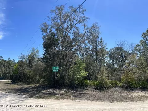 0 Northwest Ave, Webster, FL 33597 photo 11