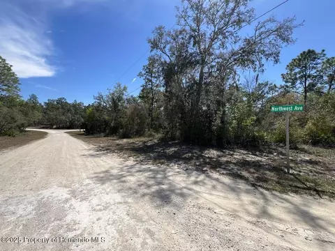 0 Northwest Ave, Webster, FL 33597 photo 6