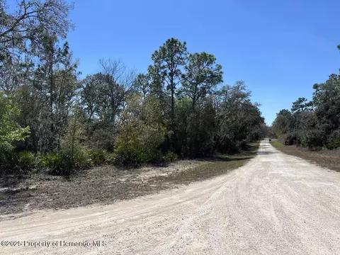 0 Northwest Ave, Webster, FL 33597 photo 3