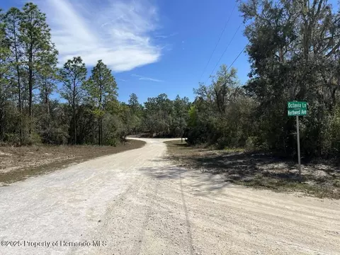 0 Northwest Ave, Webster, FL 33597 photo 5