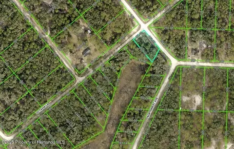 0 Northwest Ave, Webster, FL 33597 photo 4
