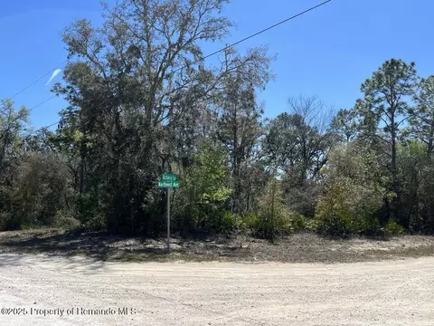 0 Northwest Ave, Webster, FL 33597 photo 7