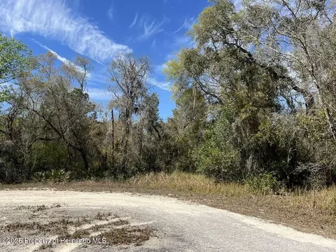 0 Riverstone St, Webster, FL 33597 photo 3