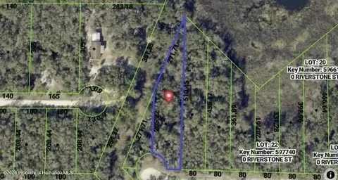 0 Riverstone St, Webster, FL 33597 photo 2