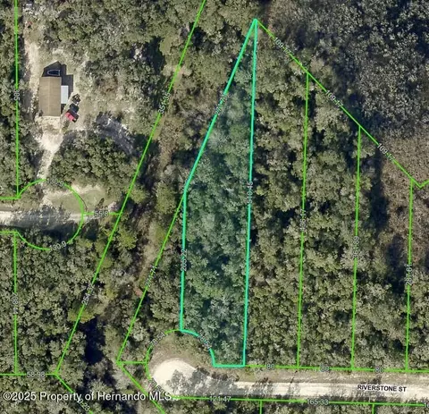 0 Riverstone St, Webster, FL 33597 photo 6