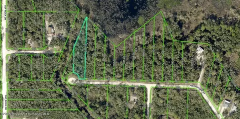 0 Riverstone St, Webster, FL 33597 photo 4