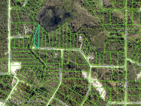 0 Riverstone St, Webster, FL 33597 photo 7