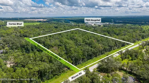 10 3 Acres Wiscon Rd, Brooksville, FL 34601