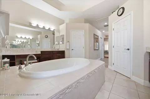 Bath - 13519 Barkingside Pl, Spring Hill, FL 34609 photo 5 of 7
