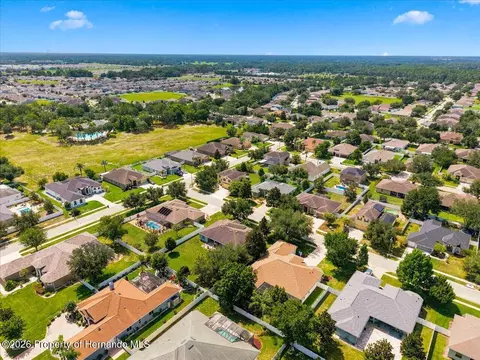 View/Area - 13519 Barkingside Pl, Spring Hill, FL 34609 photo 7 of 9