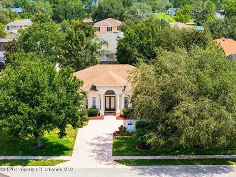 View/Area - 13519 Barkingside Pl, Spring Hill, FL 34609 photo 2 of 9