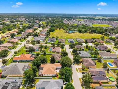 View/Area - 13519 Barkingside Pl, Spring Hill, FL 34609 photo 6 of 9