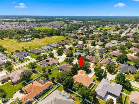 View/Area - 13519 Barkingside Pl, Spring Hill, FL 34609 photo 4 of 9