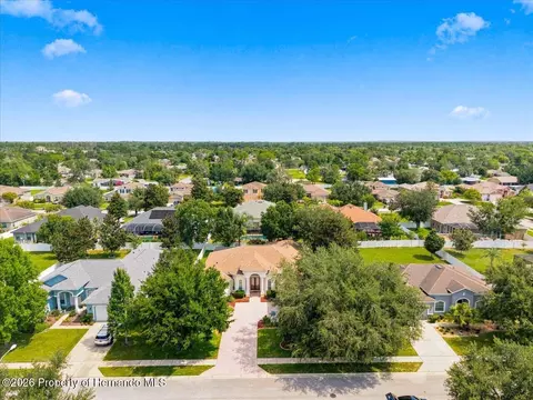 View/Area - 13519 Barkingside Pl, Spring Hill, FL 34609 photo 1 of 9