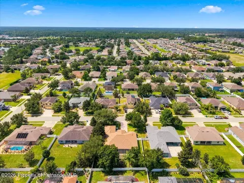 View/Area - 13519 Barkingside Pl, Spring Hill, FL 34609 photo 8 of 9