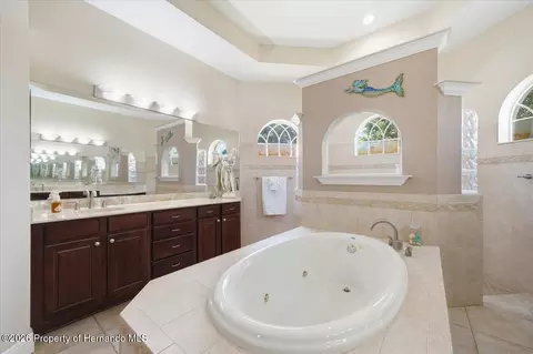 Bath - 13519 Barkingside Pl, Spring Hill, FL 34609 photo 3 of 7