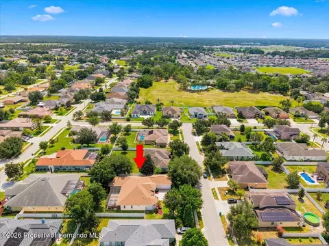 View/Area - 13519 Barkingside Pl, Spring Hill, FL 34609 photo 5 of 9