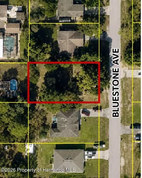 3249 Bluestone Ave, Spring Hill, FL 34609 photo 7