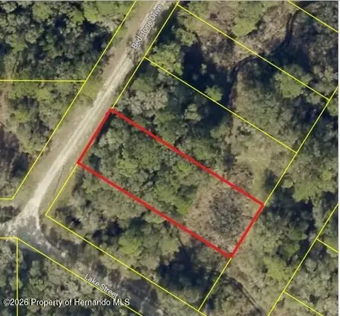 0 Bedstone Dr, Webster, FL 33597 photo 2