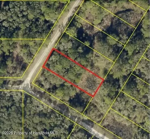 0 Bedstone Dr, Webster, FL 33597 photo 3