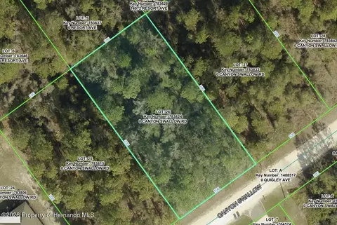 0 Canyon Swallow Rd, Weeki Wachee, FL 34614