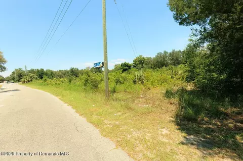18888 Ackson St, Spring Hillpasco, FL 34610 photo 21