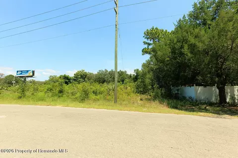 18888 Ackson St, Spring Hillpasco, FL 34610 photo 19