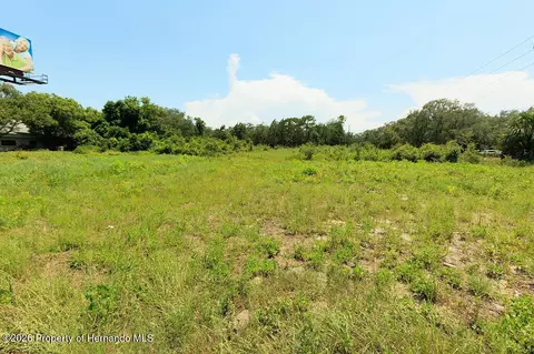 18888 Ackson St, Spring Hillpasco, FL 34610 photo 23