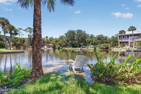 View/Area - 6086 Island Dr, Weeki Wachee, FL 34607 photo 6 of 14