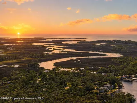View/Area - 6086 Island Dr, Weeki Wachee, FL 34607 photo 3 of 14