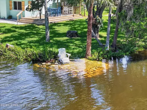 View/Area - 6086 Island Dr, Weeki Wachee, FL 34607 photo 9 of 14