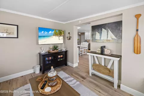 Living - 4117 Tampico Trl, Hernando Beach, FL 34607 photo 3 of 3